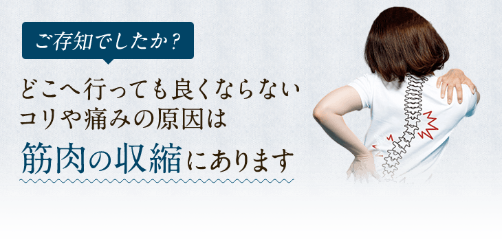 コリや痛みの原因は筋肉の収縮にあります