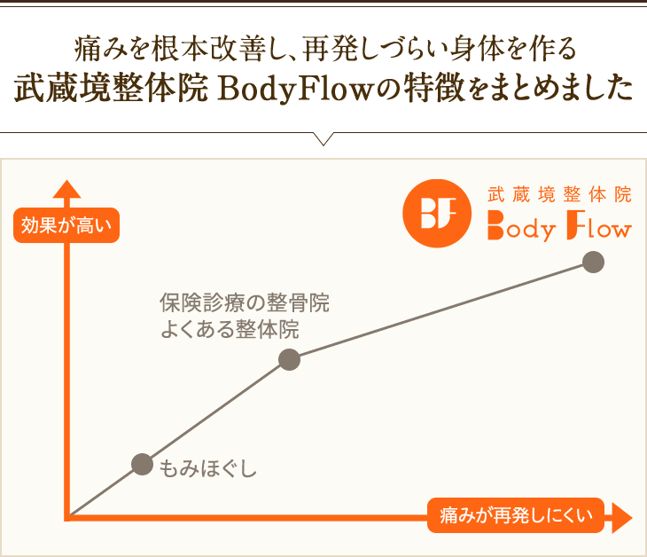 武蔵境整体院BodyFlowの特徴