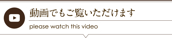 動画でもご覧いただけます